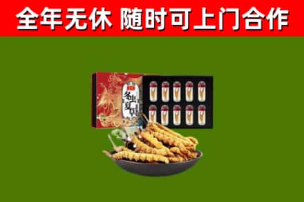 桐梓县回收冬虫夏草价格